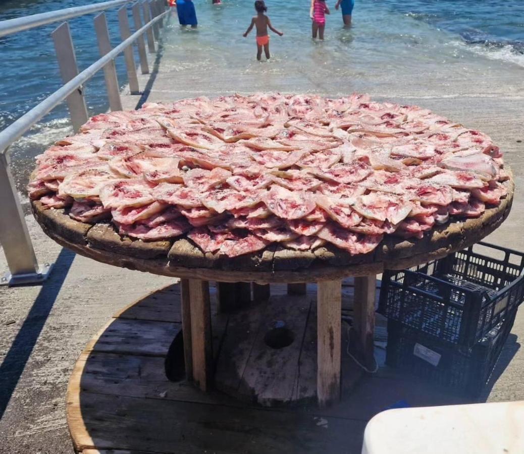 Isamena Διαμέρισμα Λας Πλάγιας Εξωτερικό φωτογραφία